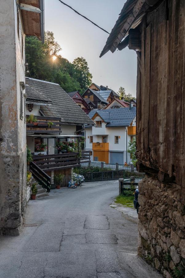 Holiday house Zupanc Bohinj Bagian luar foto