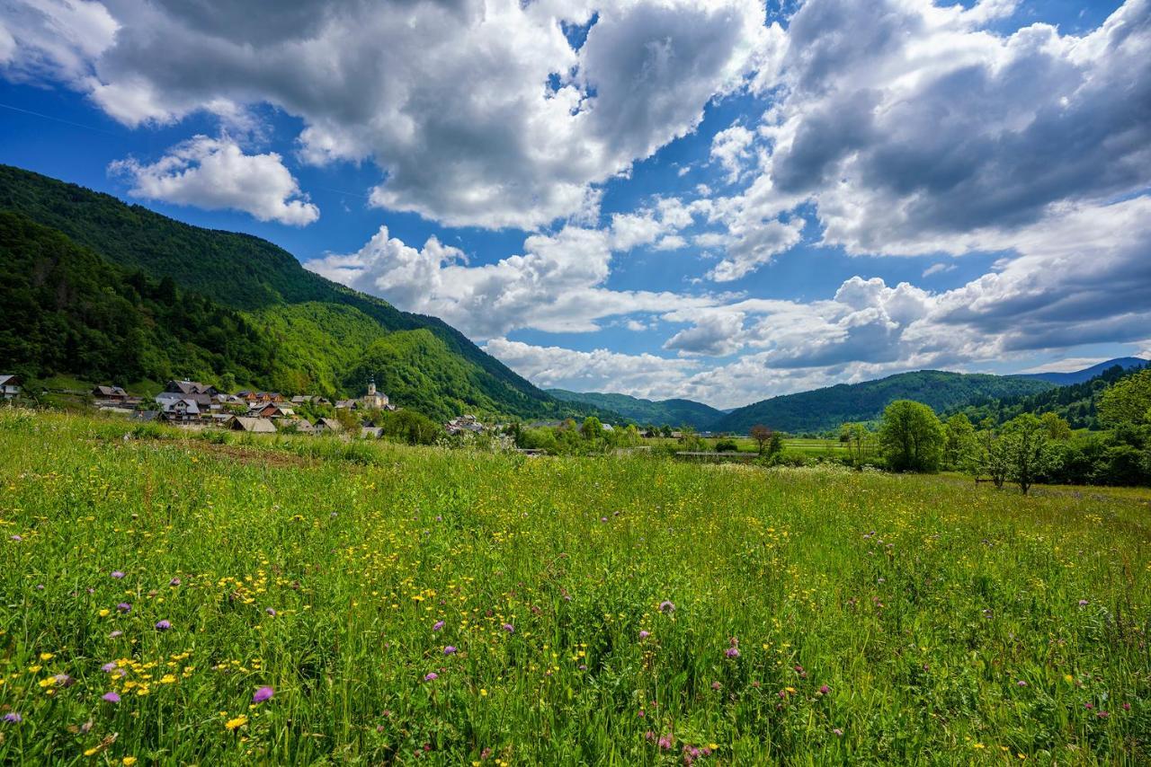 Holiday house Zupanc Bohinj Bagian luar foto